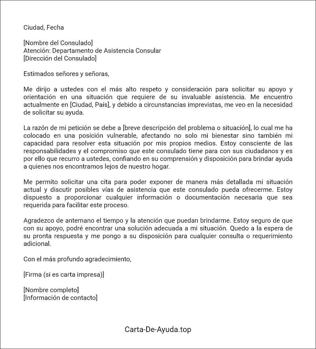 la mejor carta de solicitud de ayuda a consulado 