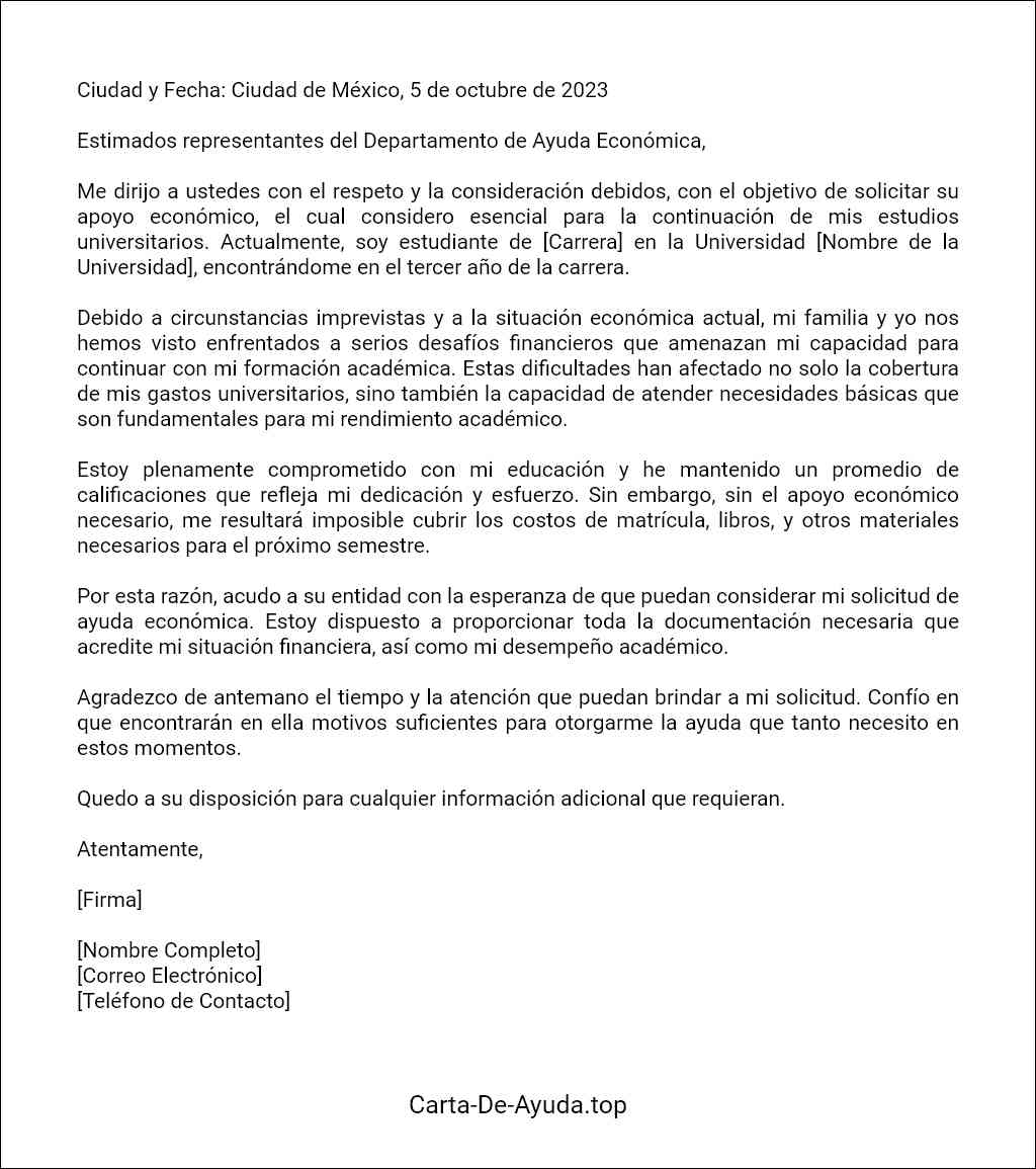 la mejor carta para solicitar ayuda económica al gobierno