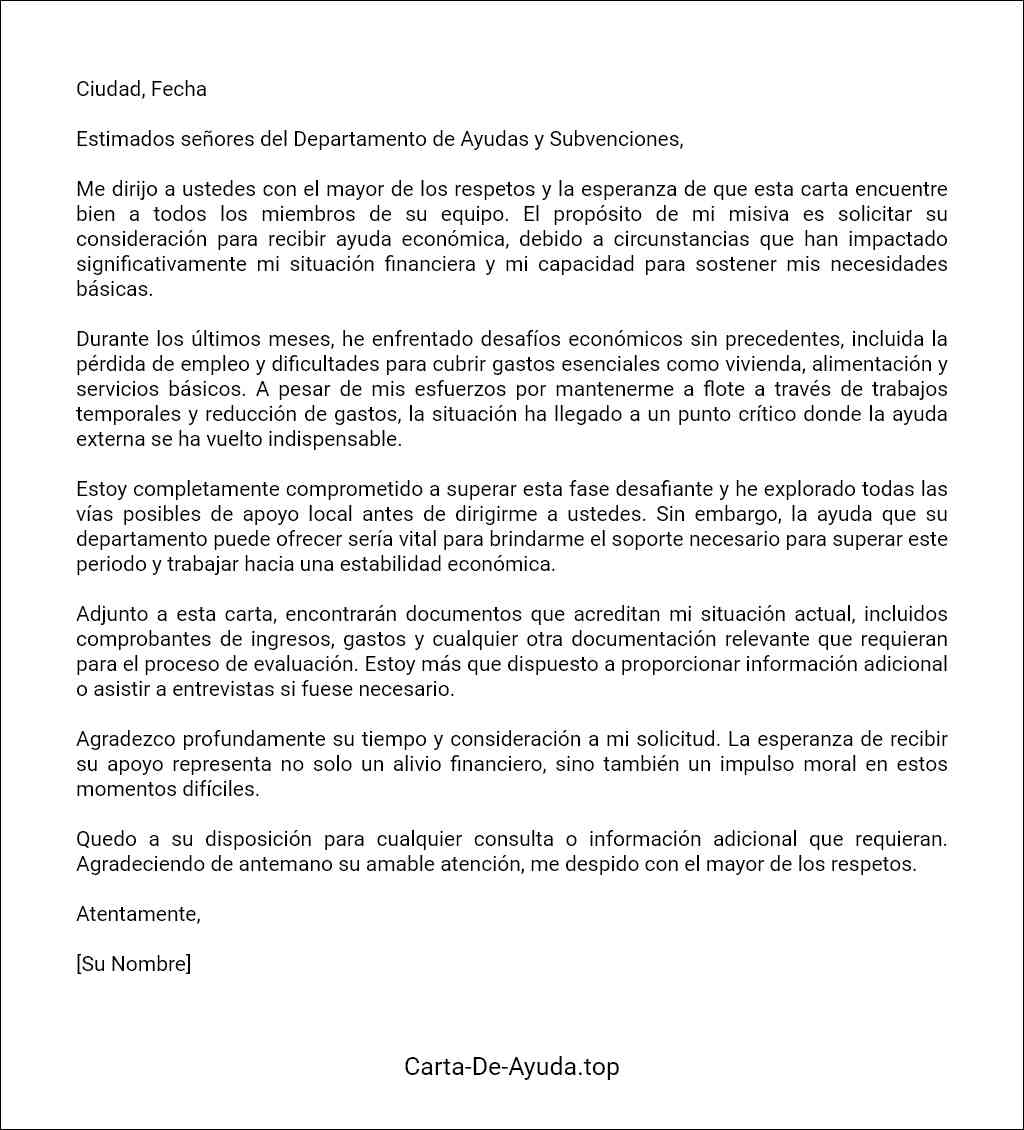 plantilla de carta para solicitar ayuda económica al gobierno 