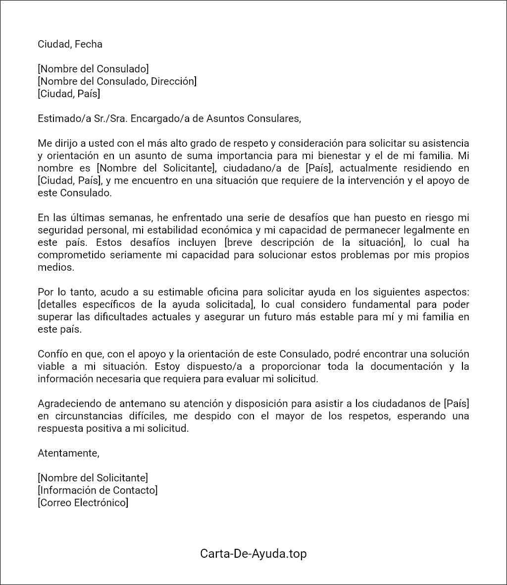 plantilla de carta de solicitud de ayuda a consulado