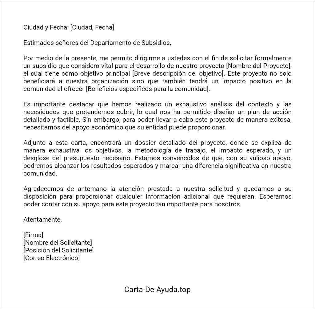 carta para solicitar subsidio ejemplo